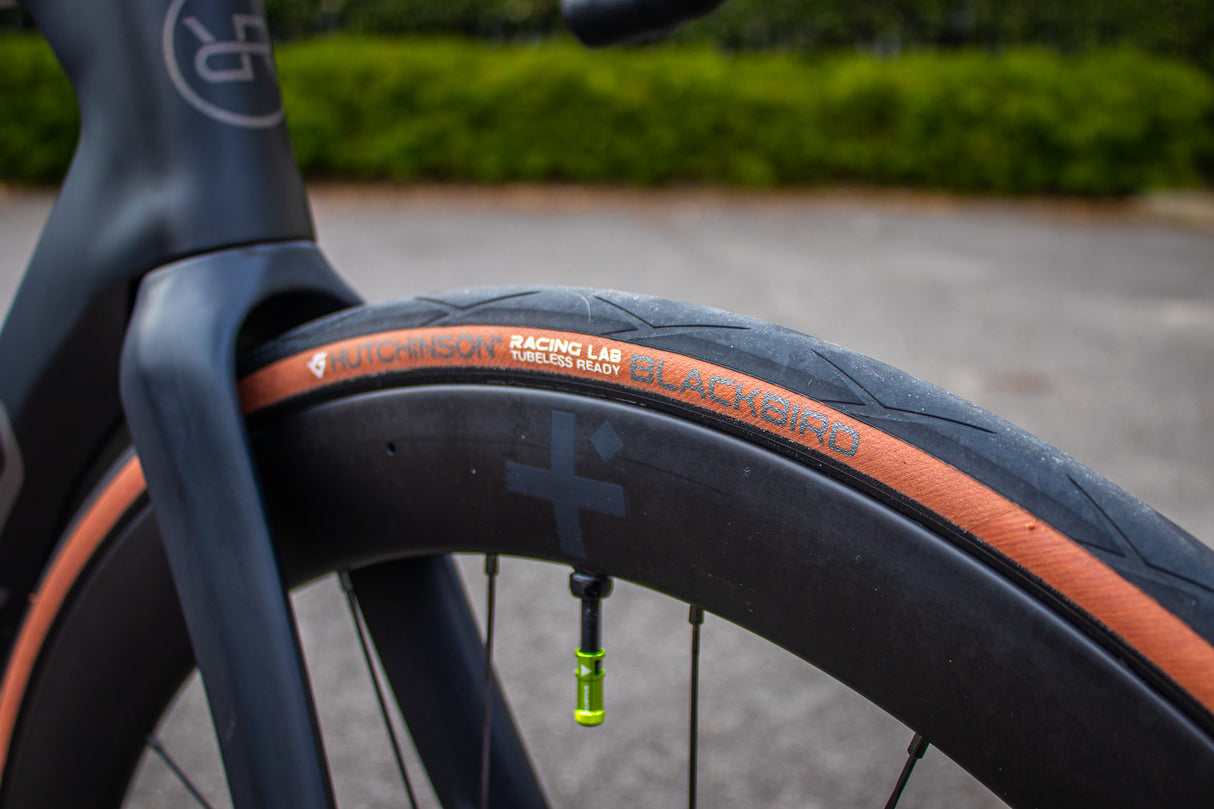 Orro Venturi STC Di2 Medium