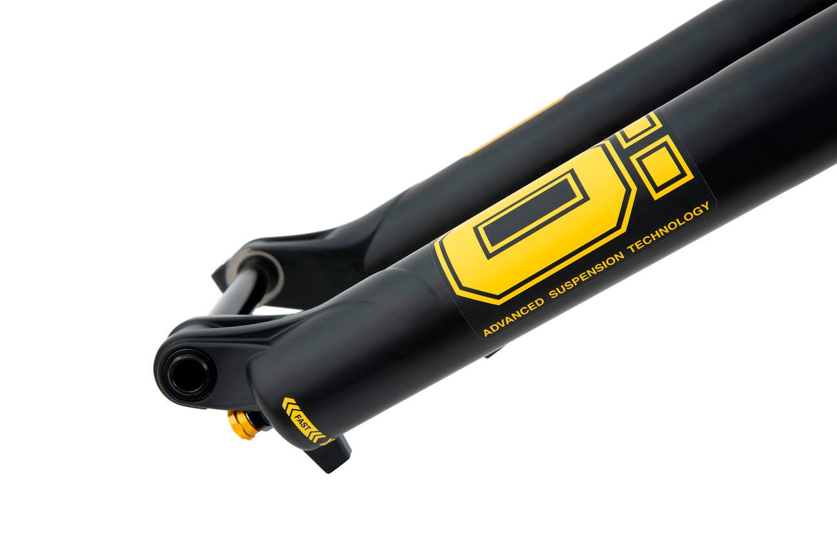 Ohlins RXF36 M.2 Air TTX18 Fork