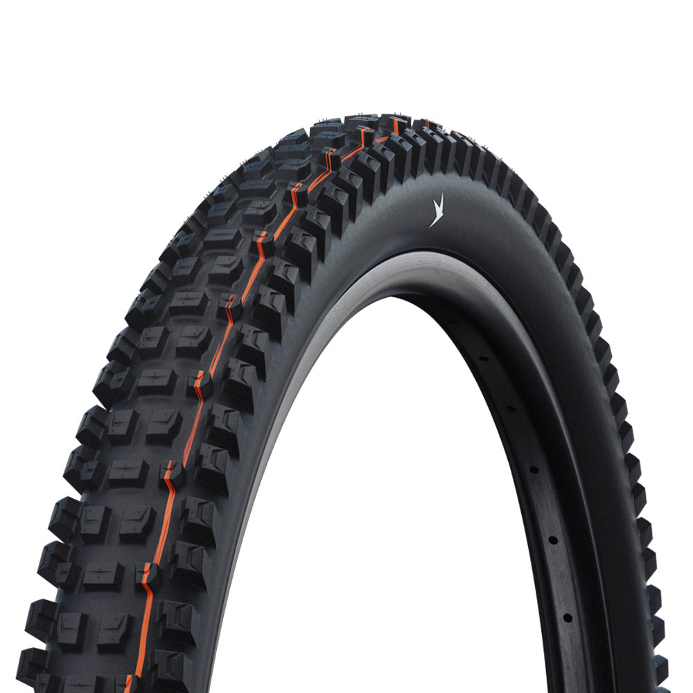 Schwalbe Albert Radial Pro Folding Tyre