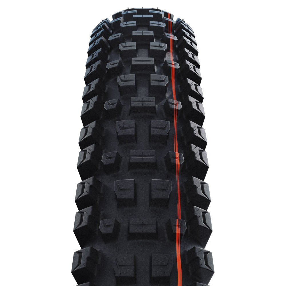 Schwalbe Albert Radial Pro Folding Tyre