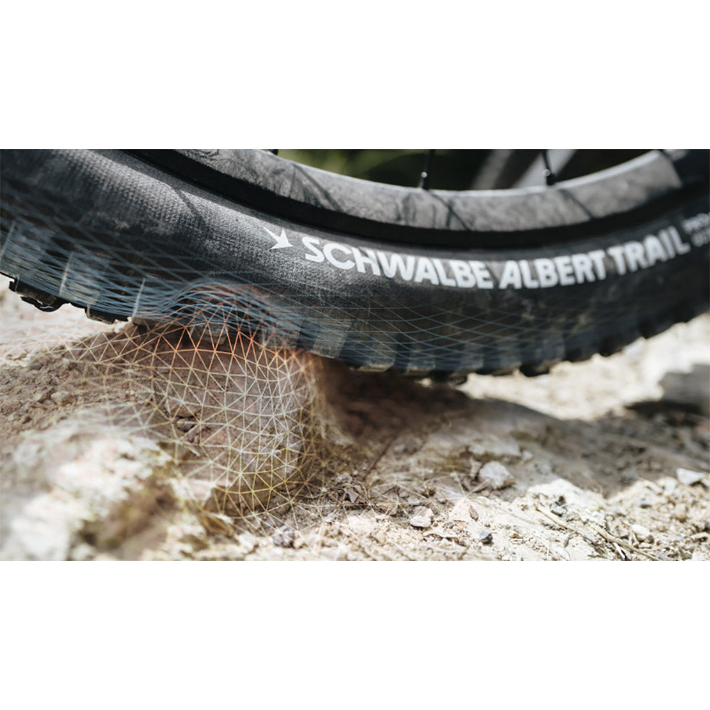 Schwalbe Albert Radial Pro Folding Tyre