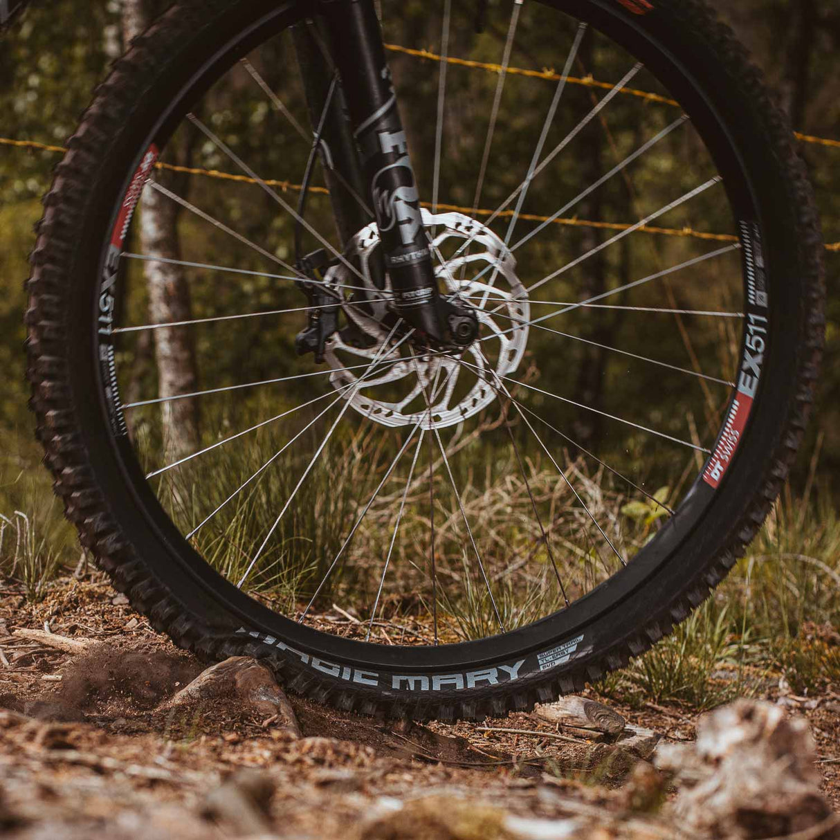 Schwalbe Magic Mary Radial Tyres