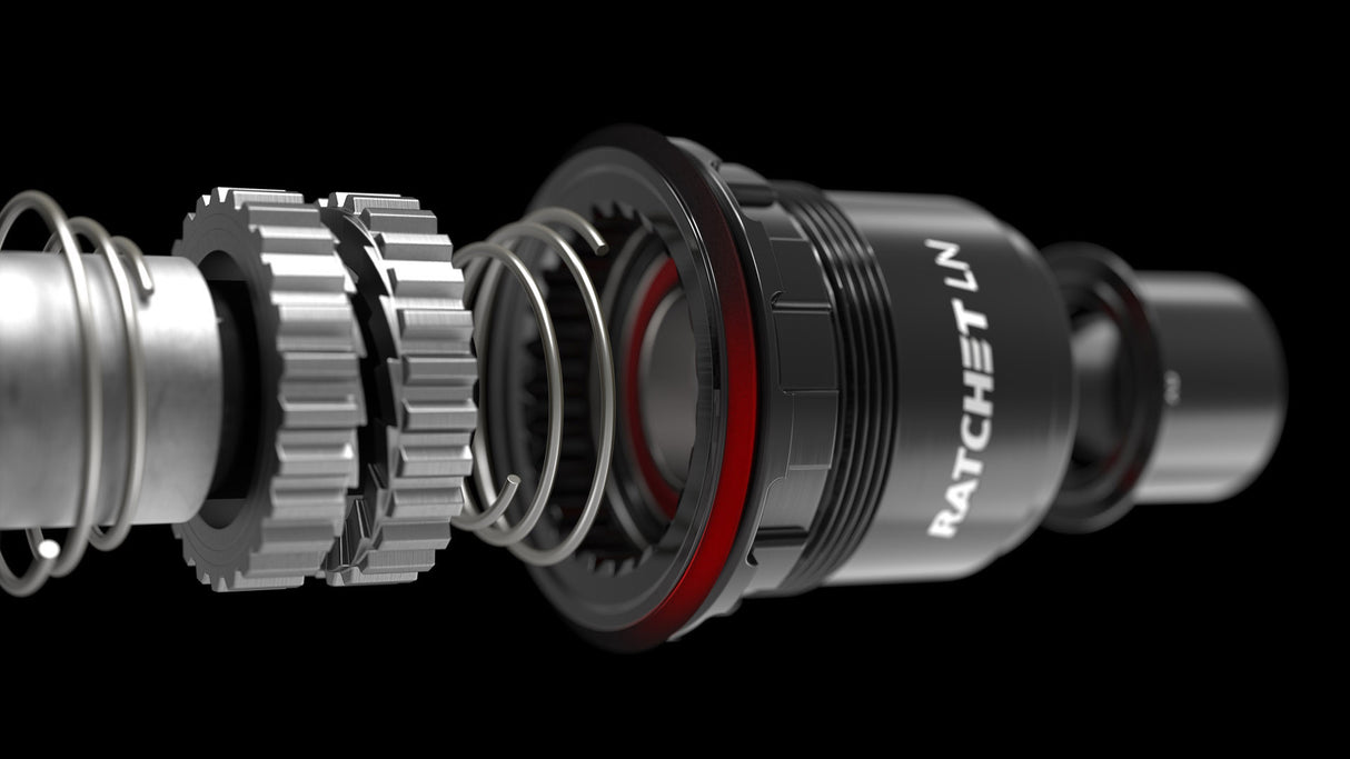 DT Swiss Ratchet LN conversion kit for 3-Pawl hubs