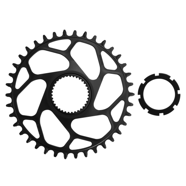 Avinox Direct Mount Chainring (38T)