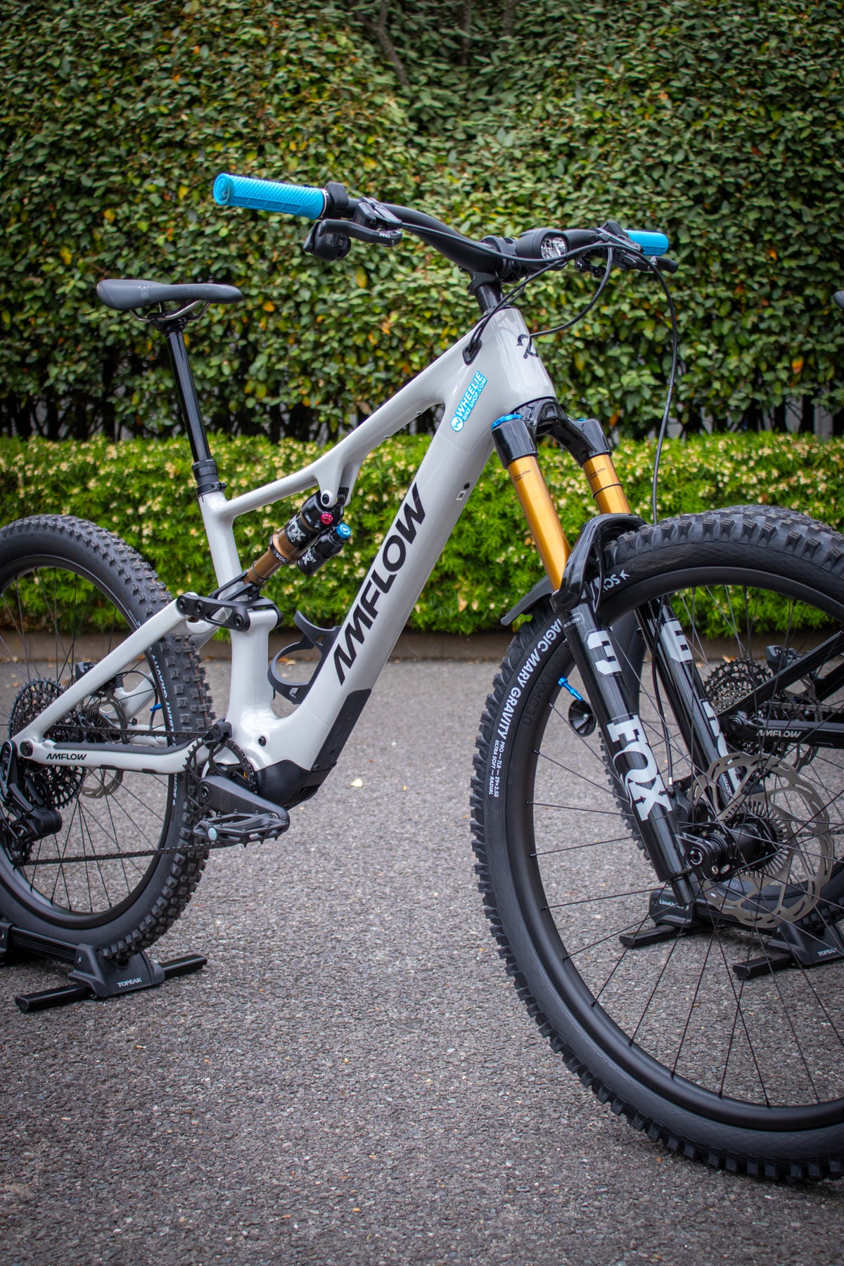Amflow PX Carbon Pro