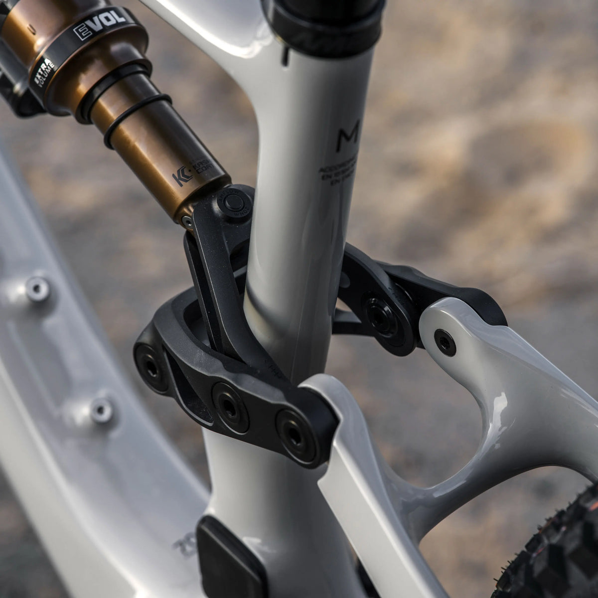 Amflow PX carbon pro in stock at wheelie bike shop uk in poole dorset