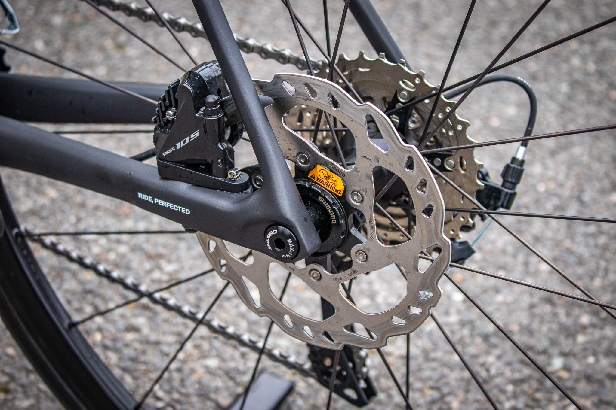Basso Venta 105 Disc 53cm | Wheelie Bike Shop