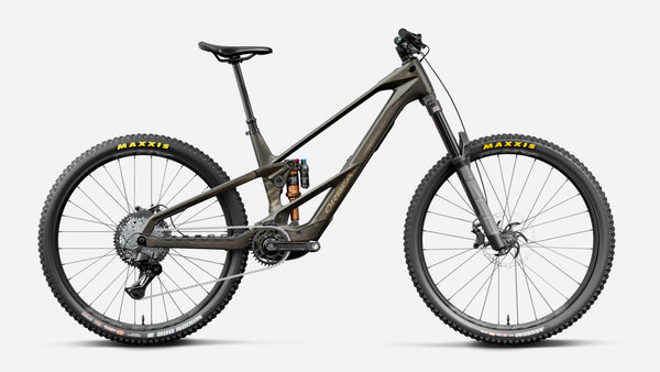 Orbea Wild LT M20 Avinox