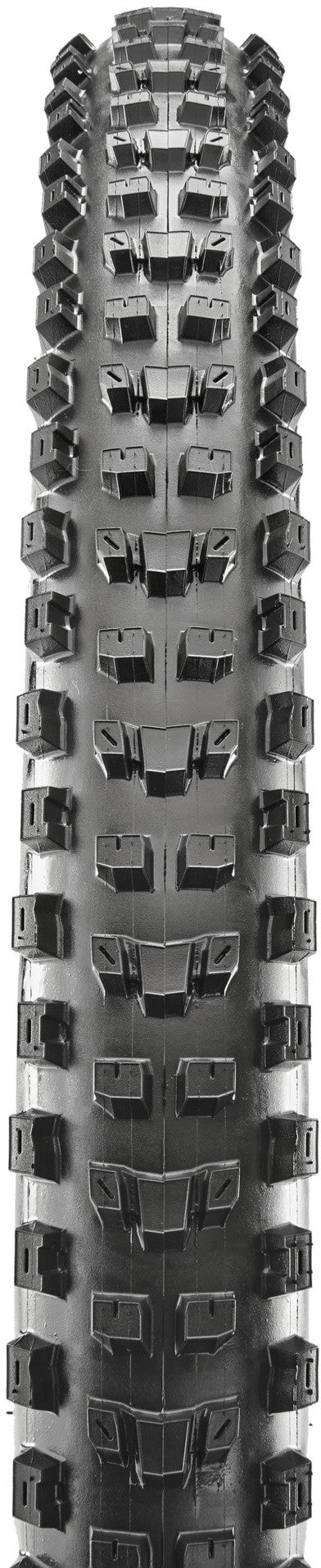 Maxxis Dissector Maxx Terra Tyre (3C-EXO+TR)