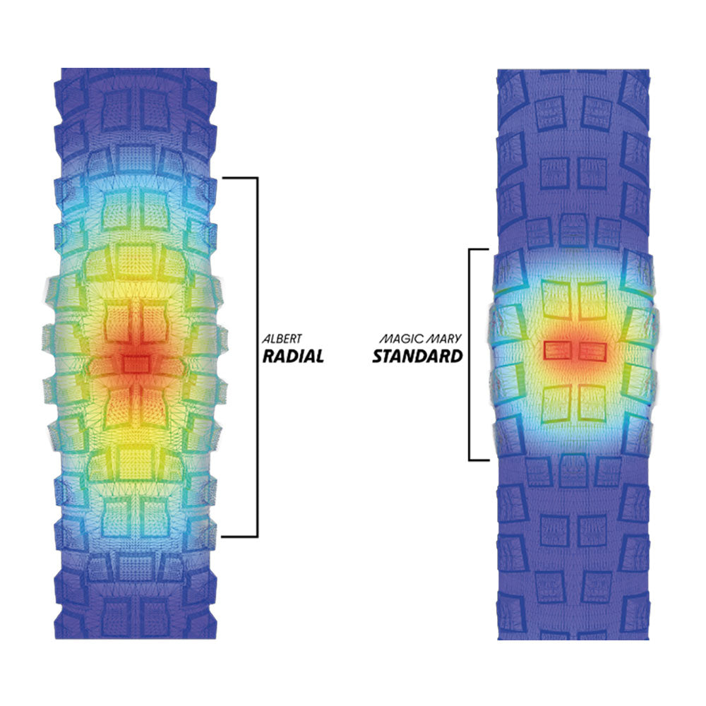 Schwalbe Albert Radial Pro Folding Tyre