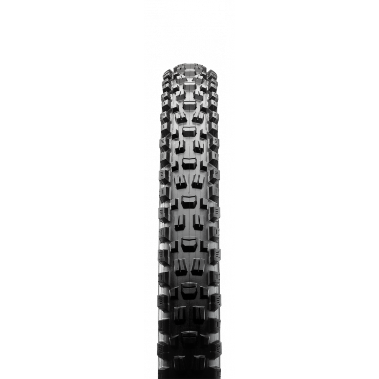 Maxxis Assegai Maxx Grip Tyre (3C-EXO+TR)
