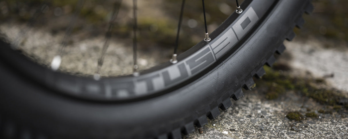 Hope Fortus 30 Pro5 Rear Wheel (135x9/142x12mm)